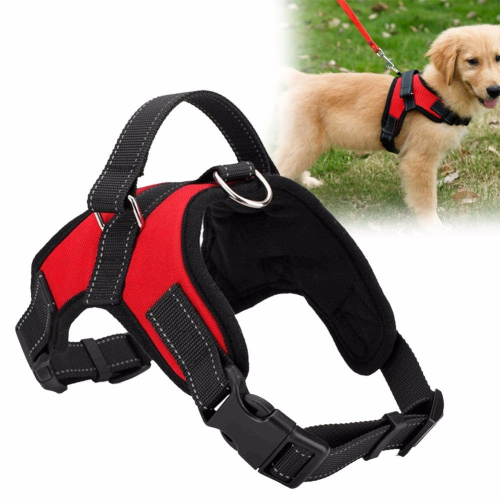 Fast Shipping Adjustable Dog Pet Harness: A Must-Have for Your Furry Friend